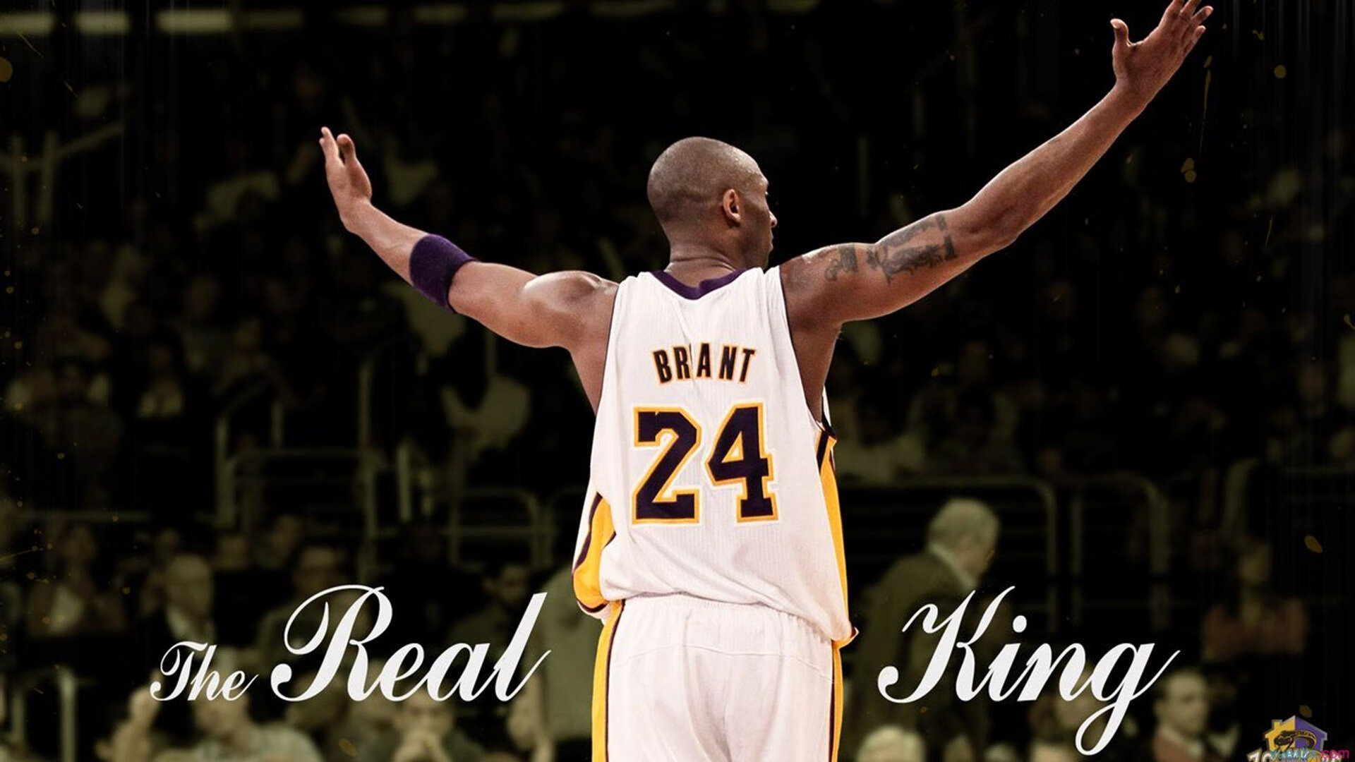 九游LOL-皮特·斯图斯：南非队的防守之魂，展现完美球技